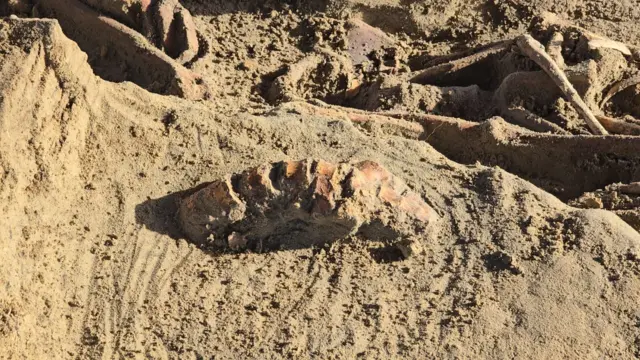 செம்மணி மனிதப் புதைகுழி: நீதியமைச்சர் வெளியிட்ட அறிவிப்பு!