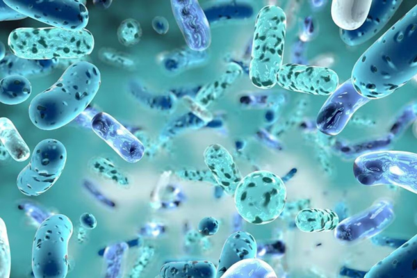 ஆண்டுக்கு 50 லட்சம் உயிர்கள் பாதிப்பு... சாதாரண காயம் கூட மரணமாகலாம்!