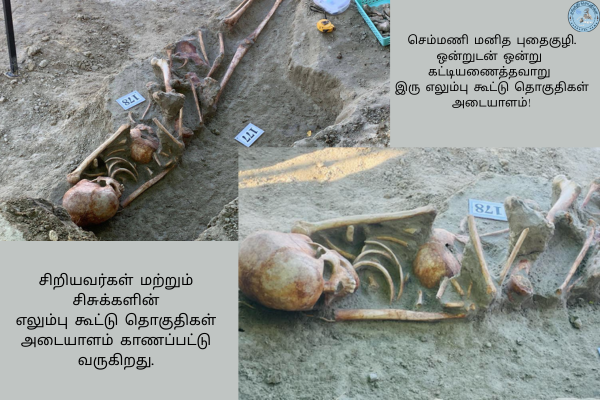 செம்மணி மனித புதைகுழி : ஒன்றுடன் ஒன்று கட்டியணைத்தவாறு இரு எலும்பு கூட்டு தொகுதிகள் அடையாளம்!