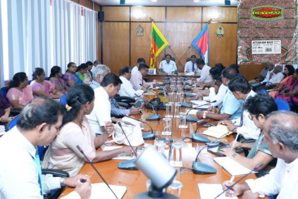 'ஆட்டக்காரி' நெல்லினத்திற்கு அரச அங்கீகாரம்!