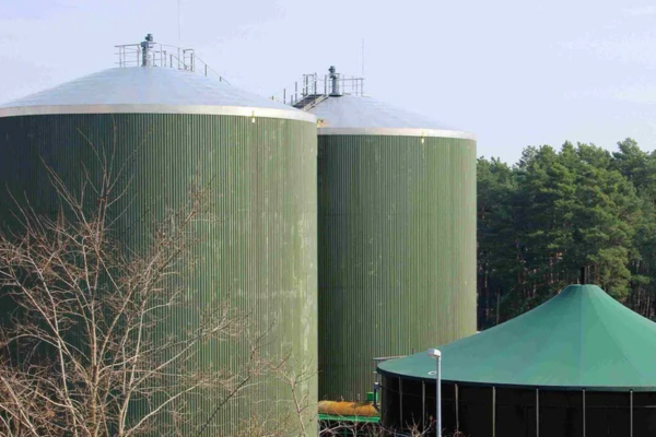 இலங்கையின் விவசாயக் கழிவுகளிலிருந்து எரிவாயு உற்பத்தி: நோர்வே ஆர்வம்!