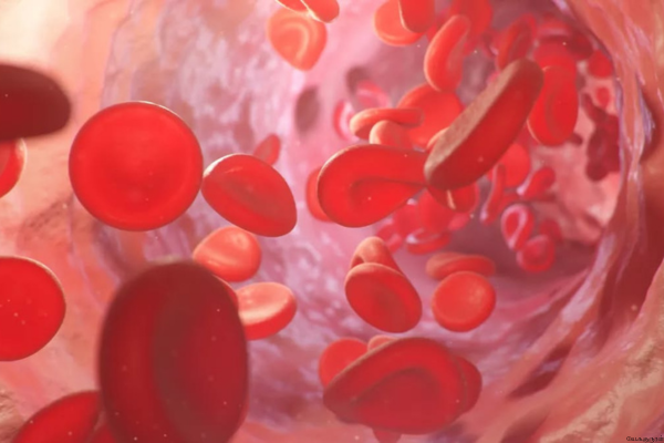 இரத்தச் சிவப்பணுக்கள் குறைகிறதா? கூடுகிறதா? உங்கள் உடல் சொல்லும் ரகசியம் என்ன?