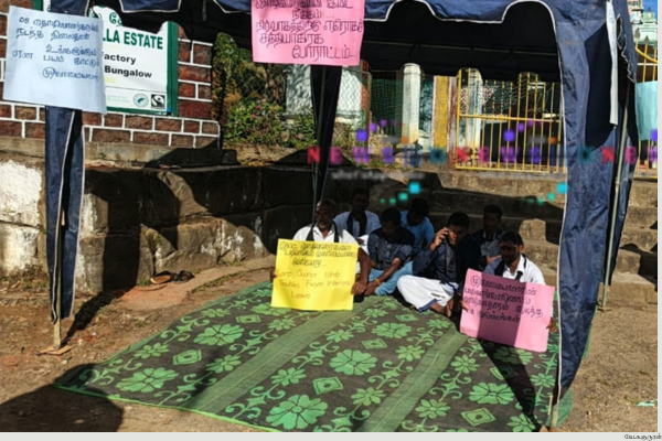 கவரவலை தோட்டத் தொழிலாளர்கள் எட்டு பேர் சத்தியாக்கிரகப் போராட்டத்தில் ஈடுபட்டுள்ளனர்!