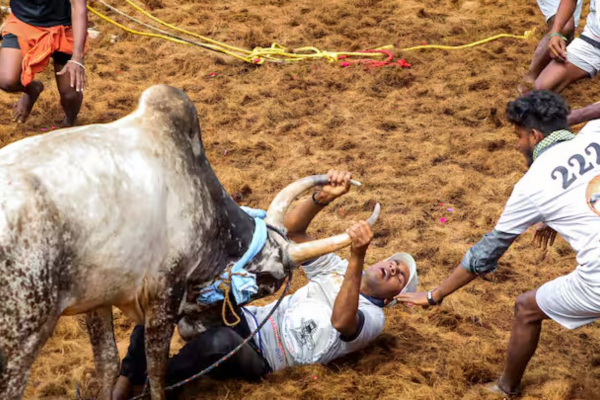 ஜல்லிக்கட்டுப் போட்டிகளில் இனி ஆன்லைன் கட்டாயமில்லை! தமிழக அரசின் மூன்று முக்கிய மாற்றங்கள்!