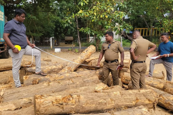யாழில் 20 இலட்சம் ரூபாய் பெறுமதியான தேக்கு மரக்குற்றிகள் மீட்பு : சாரதி கைது!