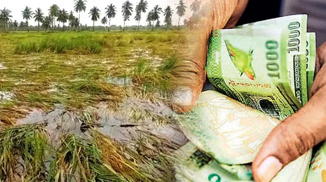 விவசாயிகளுக்கு இழப்பீடு வழங்கும் செயற்பாடு ஆரம்பம்!