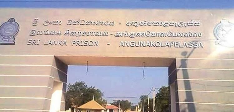 அங்குணுகொலபெலஸ்ஸ சிறைச்சாலையில் கைதி ஒருவர் உயிரிழந்ததொடர்பில் சிறப்பு விசாரணை!