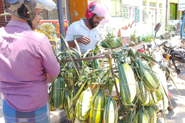 வெள்ளரிப்பழத்திற்கு வந்த கிராக்கி!
